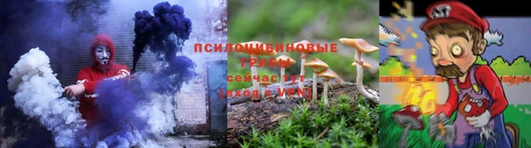 стаф Алексин