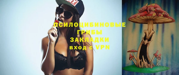 стаф Алексин
