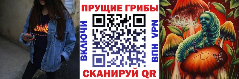 даркнет сайт  kraken зеркало  Псилоцибиновые грибы мухоморы  Светлоград 