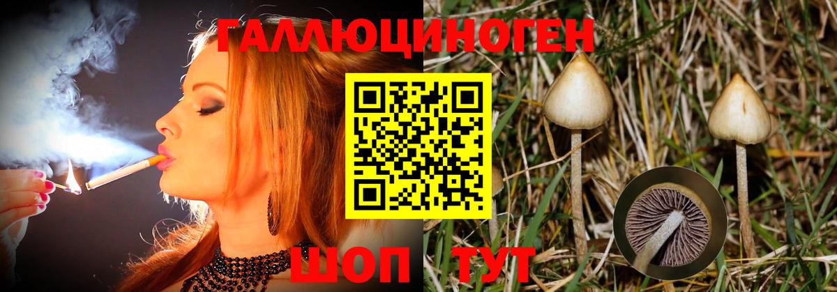 Галлюциногенные грибы прущие грибы Светлоград