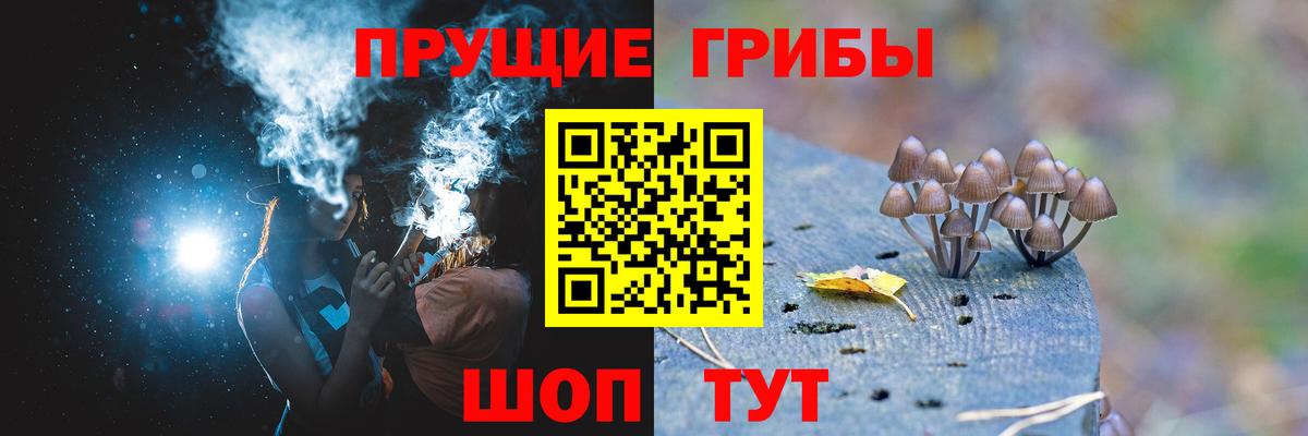 Светлоград  Галлюциногенные грибы Magic Shrooms  купить наркоту  Вход с VPN 