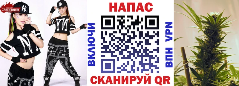omg как войти  Светлоград  Бошки Шишки SATIVA & INDICA 
